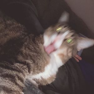 Meet your Posher, Maylene